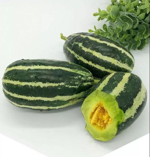 51网爆吃瓜黑料大瓜今日入口,今日入口，揭秘娱乐圈风云