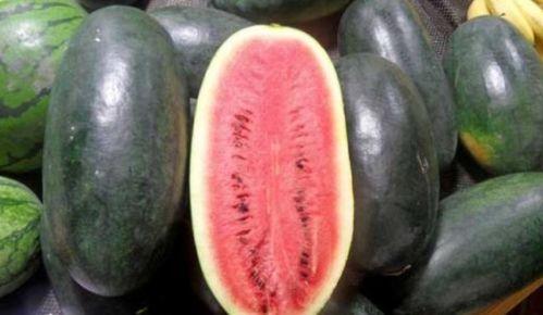 若若子吃瓜黑料