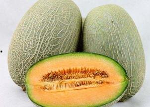 越吃越大的黑料瓜,揭秘网络谣言的膨胀之旅