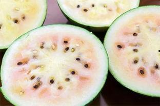 专门发网红黑料的吃瓜群,吃瓜群背后的黑料风云